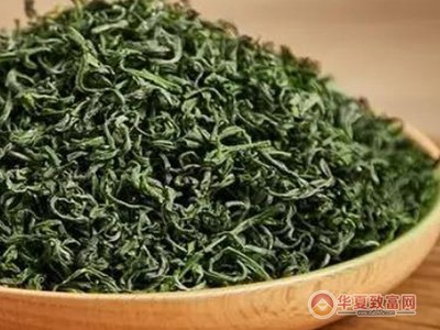 珍香茶葉 技術(shù)推廣驅(qū)動(dòng)，品質(zhì)與效益的雙贏之路